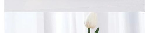 Picture of test